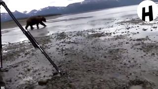 Voici les vidéos les plus étranges au monde 4