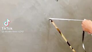 Amazing video 34