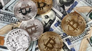 Make money online for free to contact