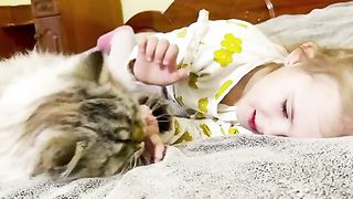 Baby fun cat
