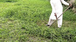 How to prepare food for cattle