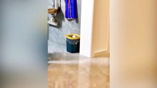 Best Funny Dogs And Cats Videos ???? Funniest Animals Videos 2023???? #1
