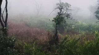 Mountain 2