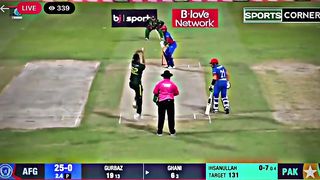 Cricket Lover 2
