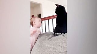 Funny Cats and Dogs Videos Funniest Animal Videos 2023!