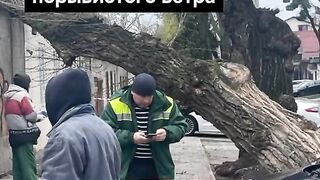 ПОЙНТ  МОЛДОВА 2