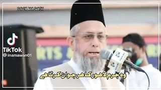مولانا عادل شھید