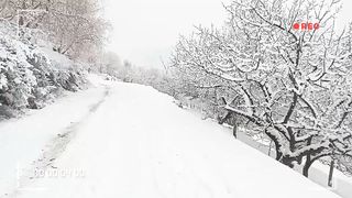 Winter Season 2
