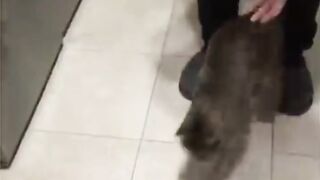 Ты не ты когда голоден))))