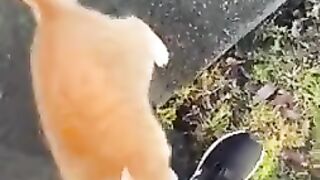 Стабильно непредсказуемы