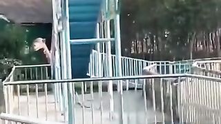 Чемпионат по нырянию в воду