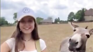 Пой своему ослику