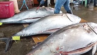 Irisan ikan tuna yang harganya mahal
