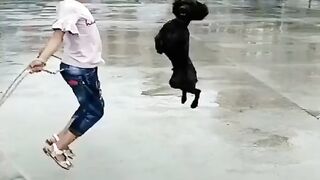 Girl and dog jumping rope