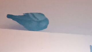 My home bird ????????????
