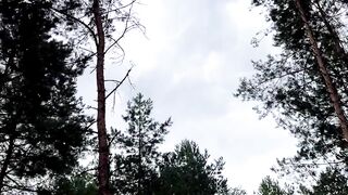 Ліс