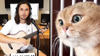 Amazing cat song????????. Talking cat