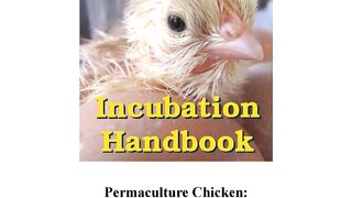 Permaculture Chicken_ Incubation Handboo - Anna Hess.