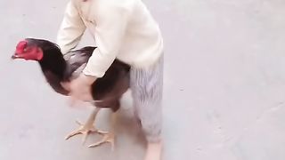 Baby funny video 2