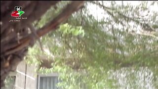 المسلسل الكويتي دلق سهيل الموسم الثاني 1997م  الحلقة 16 jalili99