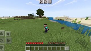 Mine craft old survival series with new world