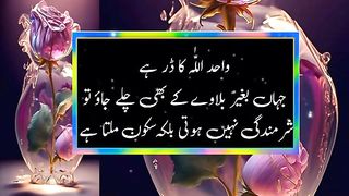 Amazing Islamic Quotes for successful life