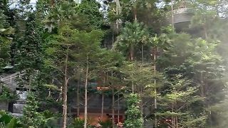 Worlds tallest Indoor Waterfall  Singapore