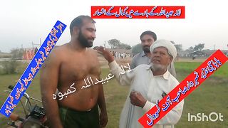 Talant kmal hy