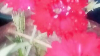 Morning flowers 2
