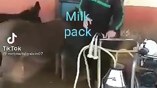 DONKEY KA MILK LAHORE MEN SUPPLY KIYA JARAHAY.