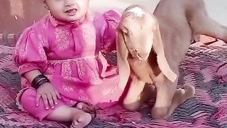 the baby cat reaction video