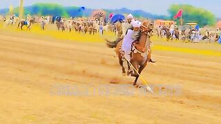 #Best#moment #of#horses#Riding