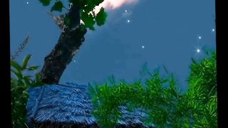 Perfect video 4