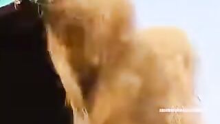 ستلی ڈوری کیسے بنتی ہے نارییل سے آییے دیکھتے ہیں