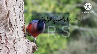 Surah fatiha 2