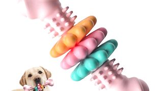 Dog Chew Toy Dog Bone Type Dogs Teeth Cleaning Toys Indestructible TPR Bone Chewing Bite Resistant Teething Toys Pet Products