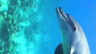 Natural video relax yourself