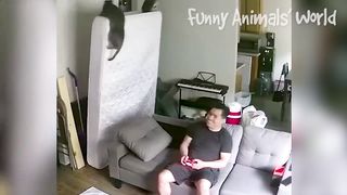 Funniest 4