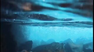 Natural video 19