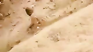 أفريقيا والمغمرة