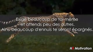 Motivation Matinale