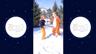 YOLO HOUSE | Best Tik Tok Compilation 2023 - Homm9k Raides Adaliatta Rendi Dovetaill Tomi