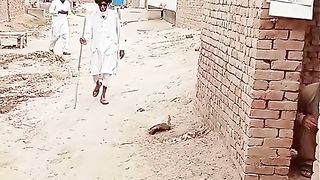 Funny videos baba ge