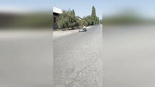 Buggy