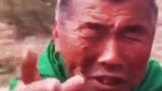 Funny Monkey And Sheep || Funny Video