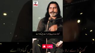 کھنڈ دے روپ وچ موہرا اے میں کھادا اے