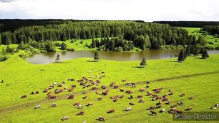 relaxing music | Relaxing meditation music | Relaxing piano music