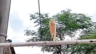I can’t stop watching this.