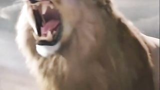 Lion King 2