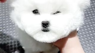 ad See to the end